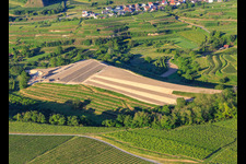 Vue aérienne de Chantier de réaménagement du vignoble en terrasses à le quartier Bickensohl in Vogtsburg im Kaiserstuhl dans le département Bade-Wurtemberg, Allemagne