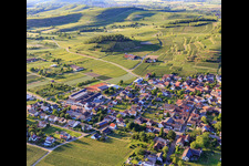 Vue aérienne de Village viticole du Kaiserstuhl vu du sud-est à le quartier Bischoffingen in Vogtsburg im Kaiserstuhl dans le département Bade-Wurtemberg, Allemagne