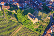 Vue aérienne de Ruines du château Burkheim au-dessus du vignoble à le quartier Burkheim in Vogtsburg im Kaiserstuhl dans le département Bade-Wurtemberg, Allemagne