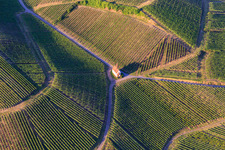 Vue aérienne de Chapelle Eichert au milieu des vignes à le quartier Jechtingen in Sasbach am Kaiserstuhl dans le département Bade-Wurtemberg, Allemagne
