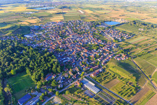 Vue aérienne de Vue de la ville depuis le sud-ouest à Sasbach am Kaiserstuhl dans le département Bade-Wurtemberg, Allemagne