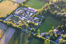 Vue aérienne de Terrains du club des Amis du tir à l'arc de Wyhl eV, du Club d'élevage de petits animaux de Wyhl et du Club des amoureux des chiens à Wyhl am Kaiserstuhl dans le département Bade-Wurtemberg, Allemagne