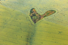 Vue aérienne de Biotope en forme de cœur dans un champ de blé à le quartier Willerode in Arnstein dans le département Saxe-Anhalt, Allemagne