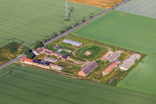 Vue aérienne de Entreprise de transformation de volailles Welbsleben mbH à le quartier Welbsleben in Arnstein dans le département Saxe-Anhalt, Allemagne