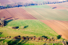 Freckenfeld dans le département Rhénanie-Palatinat, Allemagne depuis l'avion
