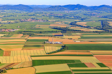 Image drone de Site de forage de la plateforme de forage profond V20 de Vercana GmbH pour Vulcan Energy à Schleidberg, destinée à l'extraction d'énergie géothermique et de lithium. à Insheim dans le département Rhénanie-Palatinat, Allemagne