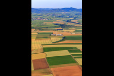 Site de forage de la plateforme de forage profond V20 de Vercana GmbH pour Vulcan Energy à Schleidberg, destinée à l'extraction d'énergie géothermique et de lithium. à Insheim dans le département Rhénanie-Palatinat, Allemagne du point de vue du drone