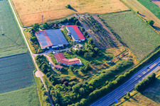 Vue aérienne de Ferme avicole familiale Schönung à Erlenbach bei Kandel dans le département Rhénanie-Palatinat, Allemagne