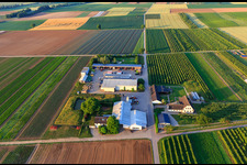 Vue d'oiseau de Jardin du fermier à Winden dans le département Rhénanie-Palatinat, Allemagne