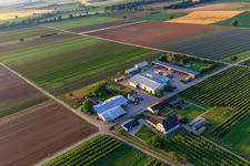 Jardin du fermier à Winden dans le département Rhénanie-Palatinat, Allemagne vue du ciel