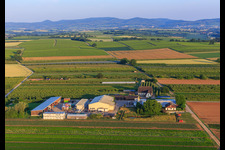 Enregistrement par drone de Jardin du fermier à Winden dans le département Rhénanie-Palatinat, Allemagne