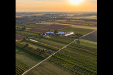 Jardin du fermier à Winden dans le département Rhénanie-Palatinat, Allemagne d'un drone