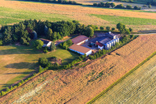 Photographie aérienne de Ferme de réinstallation à Dörrenbach dans le département Rhénanie-Palatinat, Allemagne
