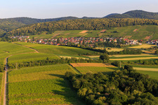 Vue aérienne de Ville viticole de l'est à le quartier Pleisweiler in Pleisweiler-Oberhofen dans le département Rhénanie-Palatinat, Allemagne
