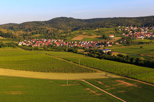 Vue aérienne de Ville viticole de l'est à le quartier Gleishorbach in Gleiszellen-Gleishorbach dans le département Rhénanie-Palatinat, Allemagne