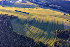 Vue aérienne de Prairies fauchées dans la Forêt-Noire le soir à Niedereschach dans le département Bade-Wurtemberg, Allemagne
