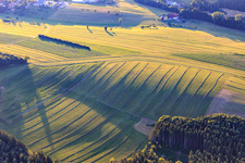 Photographie aérienne de Prairies fauchées dans la Forêt-Noire le soir à Niedereschach dans le département Bade-Wurtemberg, Allemagne