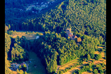 Image drone de Château de Berwartstein à Erlenbach bei Dahn dans le département Rhénanie-Palatinat, Allemagne