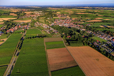 Vue aérienne de Vue du village depuis l'ouest à le quartier Ingenheim in Billigheim-Ingenheim dans le département Rhénanie-Palatinat, Allemagne