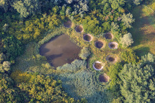 Vue aérienne de Réserve biologique gérée de Lauterbourg à Lauterbourg dans le département Bas Rhin, France