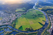 Vue aérienne de Prairies inondables sur le bras de la Sarre à le quartier Schwemlingen in Merzig dans le département Sarre, Allemagne