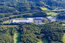 Vue aérienne de Zone industrielle à d. Bruchwiese avec Hörmann KG Eckelhausen, WELLGO technologie d'appareils/fabrication d'outils et pièces moulées par injection GmbH et entreprise de construction Wittig GmbH à le quartier Eckelhausen in Nohfelden dans le département Sarre, Allemagne