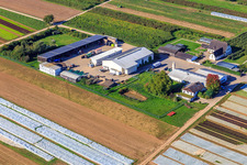Jardin du fermier à Winden dans le département Rhénanie-Palatinat, Allemagne depuis l'avion