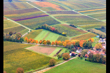 Vue aérienne de Avenue aux couleurs d'automne le long de la K24 à Dierbach dans le département Rhénanie-Palatinat, Allemagne