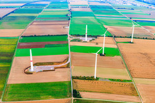 Vue aérienne de Modernisation du parc éolien Minfeld à Minfeld dans le département Rhénanie-Palatinat, Allemagne