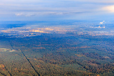 Vue aérienne de Bienwald du nord-ouest à le quartier Büchelberg in Wörth am Rhein dans le département Rhénanie-Palatinat, Allemagne