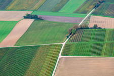 Vue aérienne de Champs et vignobles dans la Vallée Profonde à le quartier Mühlhofen in Billigheim-Ingenheim dans le département Rhénanie-Palatinat, Allemagne