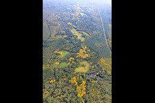 Vue aérienne de Lautertal dans la forêt de Bienwald à la frontière franco-allemande à Schweighofen dans le département Rhénanie-Palatinat, Allemagne