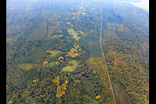 Vue aérienne de Lautertal dans la forêt de Bienwald à la frontière franco-allemande à le quartier Altenstadt in Wissembourg dans le département Bas Rhin, France