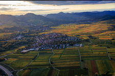 Vue aérienne de Vue du village au milieu d'une mer de vignes, vue de l'est en fin de journée d'automne. à le quartier Godramstein in Landau in der Pfalz dans le département Rhénanie-Palatinat, Allemagne