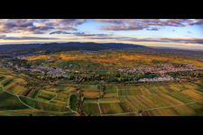 Vue aérienne de Une mer de vignes aux couleurs automnales entre Godramstein et Frankweiler à Siebeldingen dans le département Rhénanie-Palatinat, Allemagne