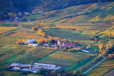 Vue aérienne de Institut JKI pour l'amélioration de la vigne Geilweilerhof et Institut des sciences de l'environnement à Siebeldingen dans le département Rhénanie-Palatinat, Allemagne