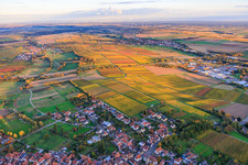 Vue aérienne de Les vignobles s'embrasent de couleurs automnales entre Niederhorbach et Kappellen-Drusweiler à Niederhorbach dans le département Rhénanie-Palatinat, Allemagne