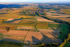 Vue oblique de Vignobles aux couleurs automnales entre Dierbach et Oberhausen à Oberhausen dans le département Rhénanie-Palatinat, Allemagne
