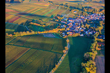 Vue aérienne de Allée en feuilles d'automne à Dierbach dans le département Rhénanie-Palatinat, Allemagne