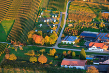 Vue aérienne de Emplacement pour camping-car Geiger sous les feuillages d'automne à Dierbach dans le département Rhénanie-Palatinat, Allemagne