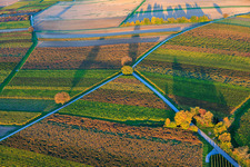 Vue aérienne de Les vignobles s'embrasent de couleurs automnales le soir entre Dierbach et Barbelroth à Dierbach dans le département Rhénanie-Palatinat, Allemagne