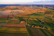 Vue aérienne de Les vignes, baignées de couleurs automnales en soirée, s'étendent devant le parc éolien de Freckenfeld. à Dierbach dans le département Rhénanie-Palatinat, Allemagne