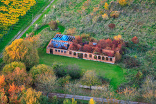 Vue aérienne de Ruines d'un bâtiment envahi par la végétation et sans toit, au milieu d'un champ à Barbelroth dans le département Rhénanie-Palatinat, Allemagne