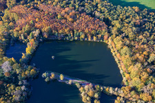 Vue oblique de Lac de l'Ours à Ottersheim bei Landau dans le département Rhénanie-Palatinat, Allemagne