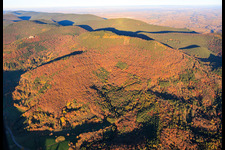 Vue aérienne de Forêt d'automne au pied des Ohrensfels à Frankweiler dans le département Rhénanie-Palatinat, Allemagne