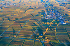 Vue aérienne de Vue du village depuis l'ouest, niché entre des vignobles aux teintes automnales, dans la lumière du soir. à Roschbach dans le département Rhénanie-Palatinat, Allemagne