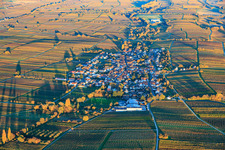 Vue aérienne de Vue du village depuis l'ouest, niché entre des vignobles aux teintes automnales, dans la lumière du soir. à Roschbach dans le département Rhénanie-Palatinat, Allemagne