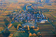 Vue aérienne de Vue du village depuis l'ouest, niché entre des vignobles aux teintes automnales, dans la lumière du soir. à Walsheim dans le département Rhénanie-Palatinat, Allemagne