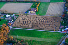 Vue aérienne de Silo 9 Labyrinthe de maïs Seehof à Steinweiler dans le département Rhénanie-Palatinat, Allemagne