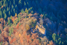 Photographie aérienne de Ruines du château de Meisteresel dans la forêt automnale à Ramberg dans le département Rhénanie-Palatinat, Allemagne